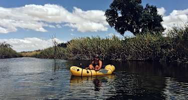 Ana Zirner Colorado River