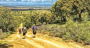 Landschaft in der Extremadura