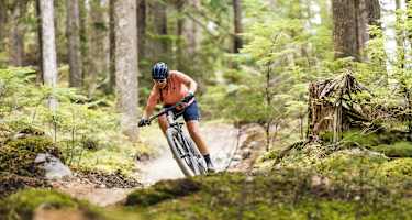 Mountainbikerin fährt durch Wald
