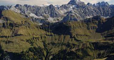 Hochvogel