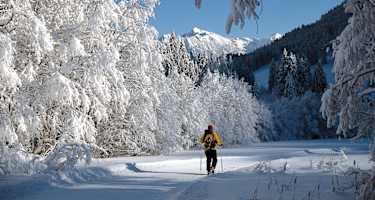 Allgäu: Piesenkopf