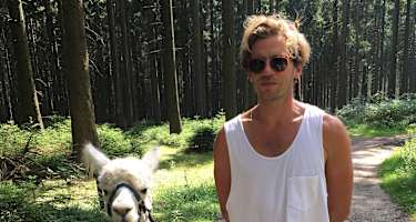 Alpaka Wandern
