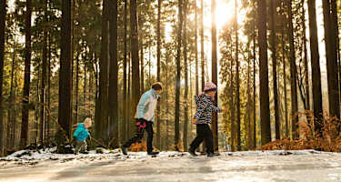 Winter Wandern am Altkönig im Taunus