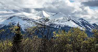 Kanada Atlin Birch Mountain