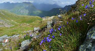 Blick auf die Filmoor-Standschüztenhütte am Karnischen Kamm