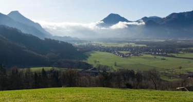 Dandlberg