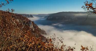 Donauwelle Wanderweg