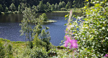 Der Sankenbachsee