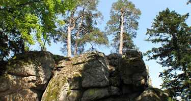Die Natur am Kühstein im Böhmerwald erleben.