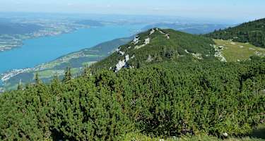 Blick vom Höllengebirge auf den Attersee