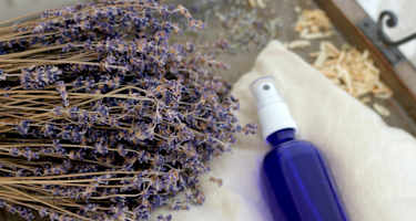 Lavendelöl mit firschem Lavendel