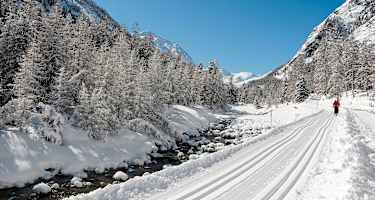 Langlaufen in Pontresina