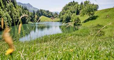 Der Seewaldsee