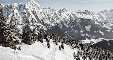 Steinberge Saalfelden Leogang Bergwelten