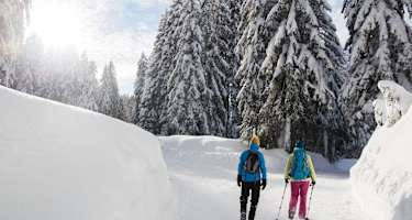 Seefeld Winterweitwanderweg