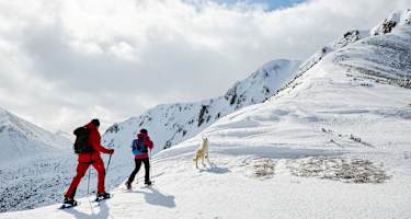 Wölzer Tauern