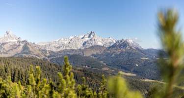 Blick vom Gerzkopf auf das Dachsteinmassiv