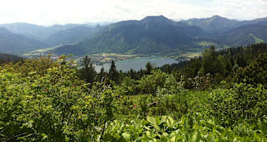 Der Tegernsee