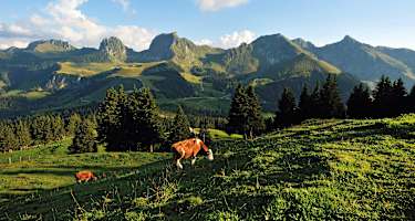 Schweiz Naturpark Gantrisch im Kanton Bern