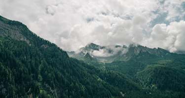 a_2_337_si202304030871