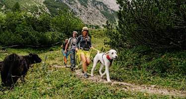 Drei Personen und ein Hund wandern zur Sarotlahütte Brandnertal.