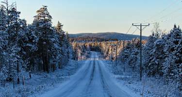 Wandern in Lappland