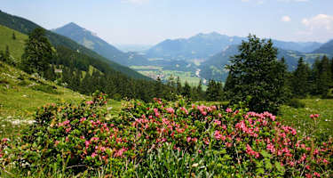 Wandern in den Chiemgauer Alpen: Auf den Breitenstein in Bayern