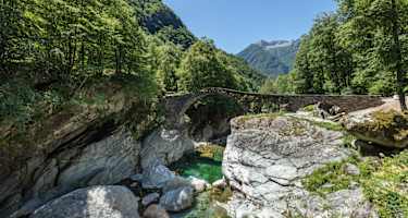 brontallo_ponte_merla2022_03_large