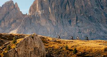 Vier Personen schieben ihr Mountainbike am Berg