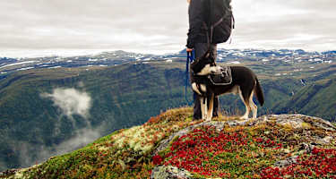 Wanderin mit ihrem Hund