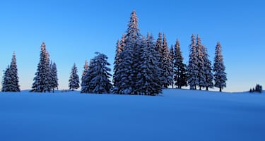 Feldwiesalm