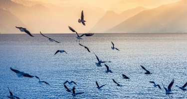 Traunsee bei Gmunden im österreichischen Salzkammergut