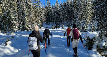 Eine Tour wie im Bilderbuch: Mit den Schneeschuhen durchs Hochmoor bei Wallgau