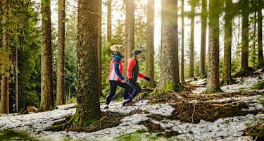 Wandern im Winter