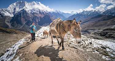 Auf dem Weg ins Manaslu-Basislager