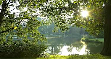 Morgensonne überm Maschteich im Maschpark in Hannover