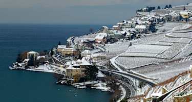 Lavaux Unesco Rivaz Genfersee