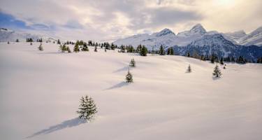 Unberührte Natur und feinste Winterlandschaft in den Albula Alpen, Graubünden