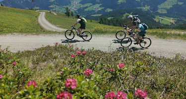 mtber_am_schatzberg_mit_blick_ins_tal_fg_tl_rechte_wildschonau_tourismus_1