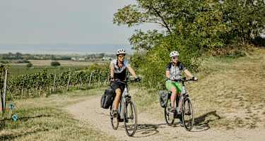 neusiedler_see_biken