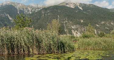 Pressegger See