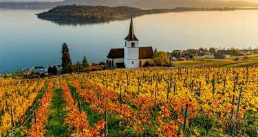 Rebberge am Bielersee mit Blick auf die St. Petersinsel in Bern
