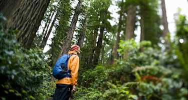 Wanderer bei Regen im Wald