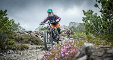 Ein E-Bike stellt vor allem bergab besondere Anforderungen