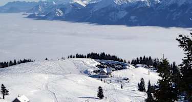 Die Rosstratten am Dobratsch
