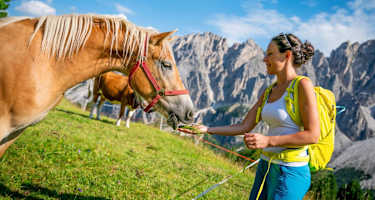 Eine Frau füttert ein Pferd auf der Alm