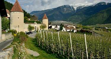 Schloss Goldrain