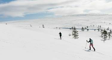 Langlaufen Lappland