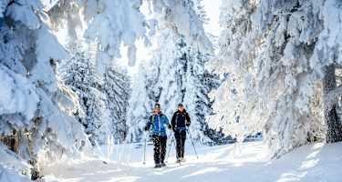 Schneeschuhwandern