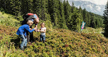 Familie auf Weide vor Wald